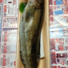 油目の握り レシピ 作り方 By Faiten8 楽天レシピ 油目の握り レシピ 作り方 By Faiten8 楽天レシピ